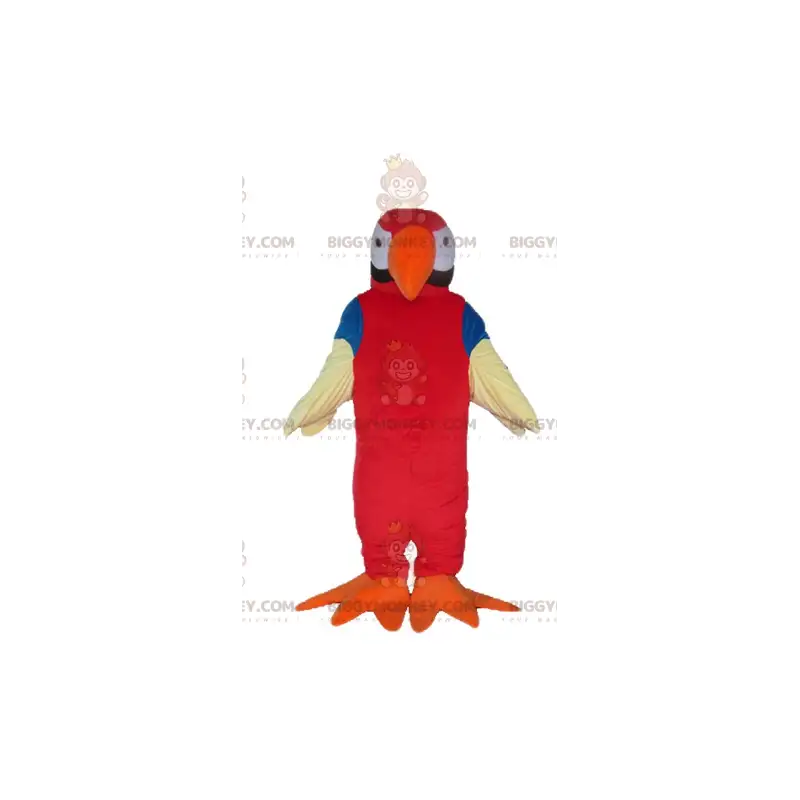 Fantasia de mascote de papagaio gigante vermelho laranja azul e Fantasia de mascote de papagaio gigante vermelho laranja azul e