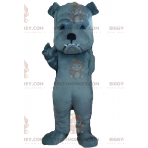 Wild aussehender grauer Hund BIGGYMONKEY™ Maskottchen-Kostüm -