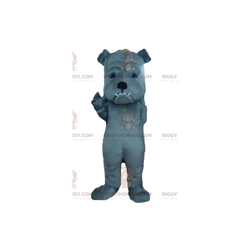 Wild aussehender grauer Hund BIGGYMONKEY™ Maskottchen-Kostüm - Wild aussehender grauer Hund BIGGYMONKEY™ Maskottchen-Kostüm -