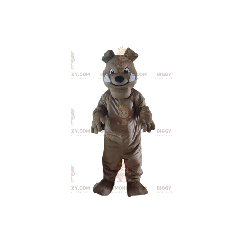 Costume de mascotte BIGGYMONKEY™ de chien gris de bulldog à Costume de mascotte BIGGYMONKEY™ de chien gris de bulldog à
