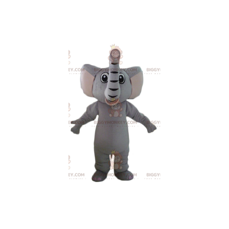 Volledig aanpasbare grijze olifant BIGGYMONKEY™ mascottekostuum - Mascottes van olifanten - BIGGYMONKEY_02839 - BiggyMonkey.com