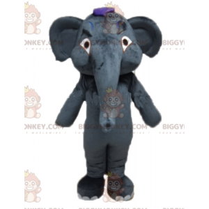 Giant grå elefant BIGGYMONKEY™ maskotkostyme som kan tilpasses fullstendig - Elefantmasker - BIGGYMONKEY_02854 - BiggyMonkey.com
