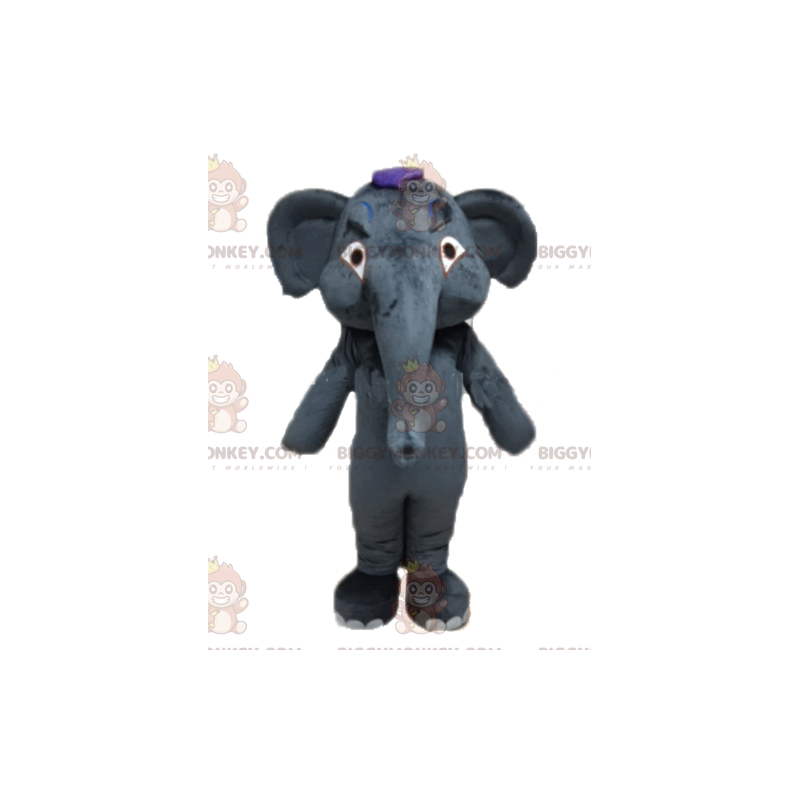 Giant grå elefant BIGGYMONKEY™ maskotkostyme som kan tilpasses fullstendig - Elefantmasker - BIGGYMONKEY_02854 - BiggyMonkey.com