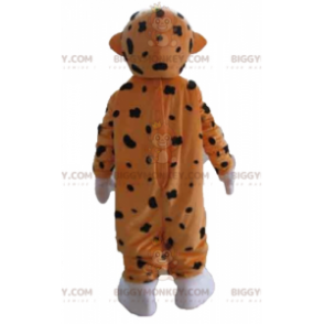 Leuke en kleurrijke oranje witte en zwarte tijger BIGGYMONKEY™ mascottekostuum - Mascottes van de tijger - BiggyMonkey.com
