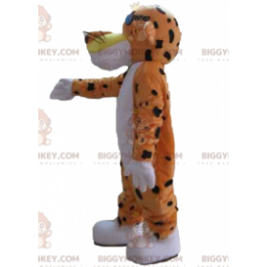 Leuke en kleurrijke oranje witte en zwarte tijger BIGGYMONKEY™ mascottekostuum - Mascottes van de tijger - BiggyMonkey.com