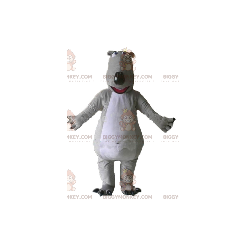 Fantasia de mascote gigante e impressionante de urso cinza e Fantasia de mascote gigante e impressionante de urso cinza e