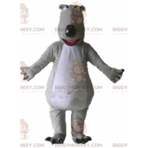 Kostium maskotki ogromnego i imponującego szaro-białego niedźwiedzia BIGGYMONKEY™ - Maskotka niedźwiedź - BiggyMonkey.com