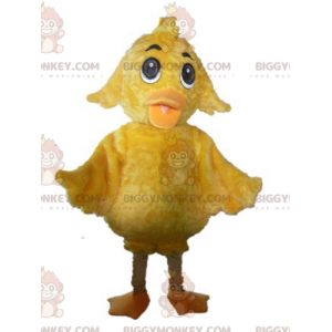 Μαλακή και χαριτωμένη στολή μασκότ Giant Yellow Chick BIGGYMONKEY™ - Μασκότ Κοτόπουλα - Πετεινές - Κοτόπουλα - BiggyMonkey.com