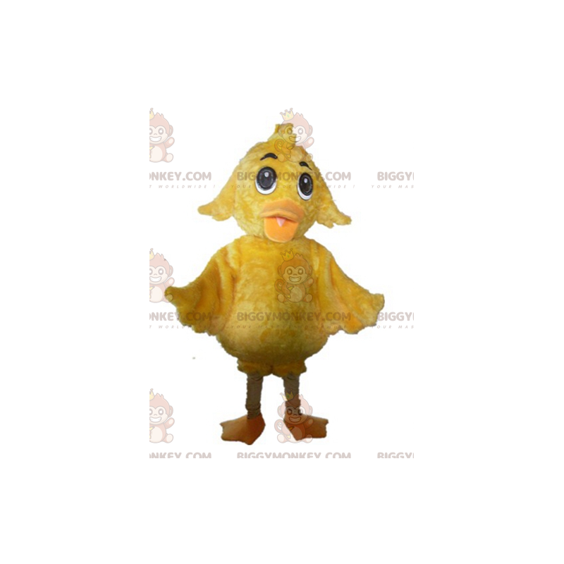 Mjuk och söt jätte gul chick BIGGYMONKEY™ maskotdräkt - Mjuk och söt jätte gul chick BIGGYMONKEY™ maskotdräkt -