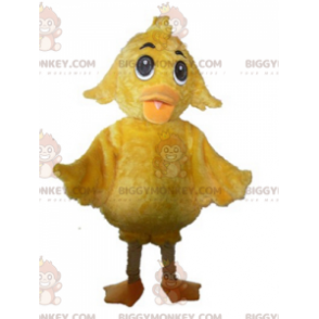 Disfraz de mascota BIGGYMONKEY™ de pollito amarillo gigante tierno y suave - BiggyMonkey.com