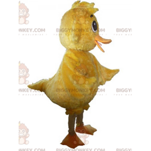 Disfraz de mascota BIGGYMONKEY™ de pollito amarillo gigante tierno y suave - BiggyMonkey.com