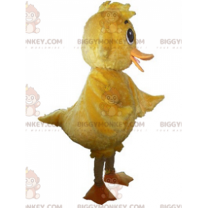 Costume de mascotte BIGGYMONKEY™ de poussin jaune géant doux et