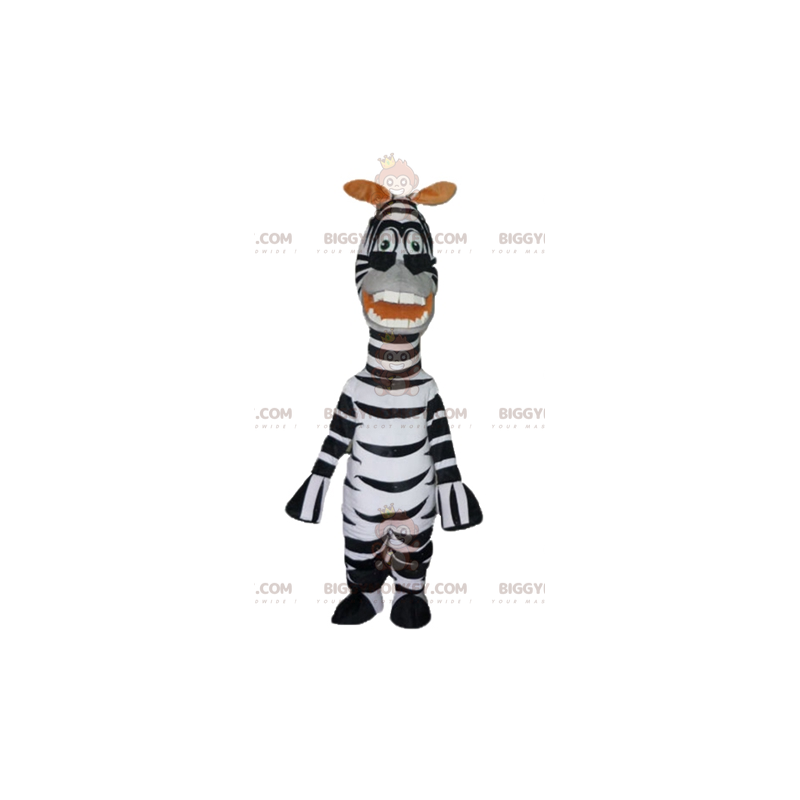 BIGGYMONKEY™ mascot costume of the famous zebra Marty from the BIGGYMONKEY™ mascot costume of the famous zebra Marty from the
