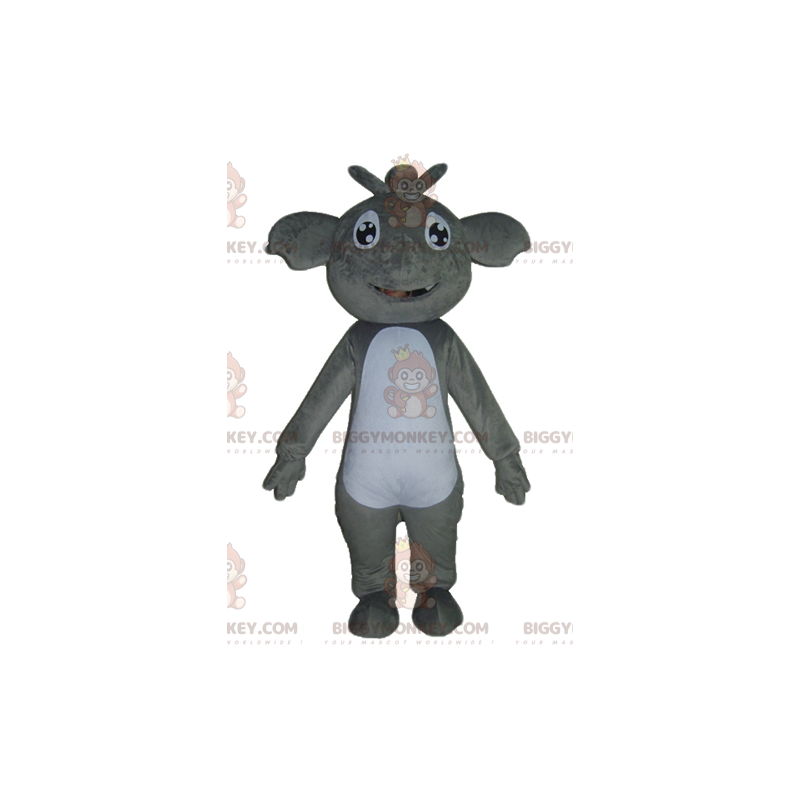 Traje de mascote de coala cinza e branco gigante sorridente Traje de mascote de coala cinza e branco gigante sorridente