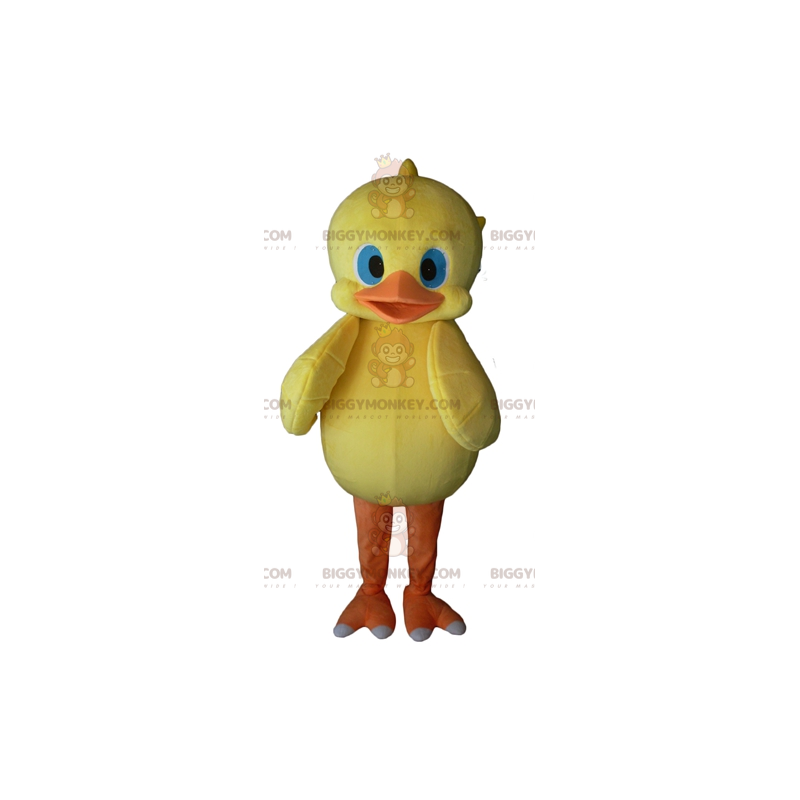 Blue Eyes Yellow Orange Chick BIGGYMONKEY™ maskottiasu - Blue Eyes Yellow Orange Chick BIGGYMONKEY™ maskottiasu -