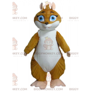 Ruskea-valkoinen marsu Groundhog BIGGYMONKEY™ maskottiasu -