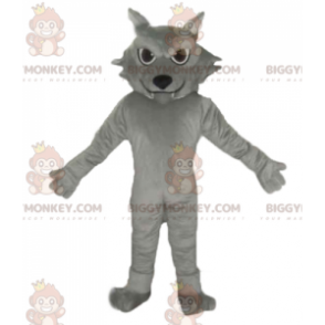 Söt jättegrå katt BIGGYMONKEY™ maskotdräkt - BiggyMonkey maskot