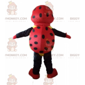 Disfraz de mariquita de lunares rojo, negro y amarillo BIGGYMONKEY™ para mascota - Mascotas de insectos - BiggyMonkey.com