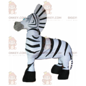 Super Successful Giant Black and White Zebra BIGGYMONKEY™