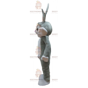 Looney Tunes Beroemd grijs konijn Bugs Bunny BIGGYMONKEY™ mascottekostuum - Mascottes beroemde mensen - BiggyMonkey.com