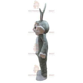 Kostým maskota Looney Tunes slavného šedého králíka Bugs Bunny
