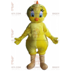 Slavný kostým maskota Looney Tunes Yellow Canary Tweety