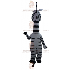 BIGGYMONKEY™ costume mascotte di Marty la famosa zebra del