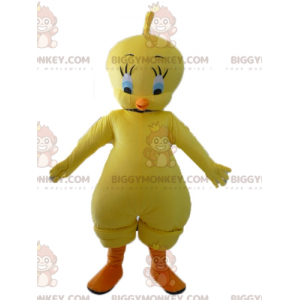 Kostium maskotki Looney Tunes Słynny żółty kanarek Tweety