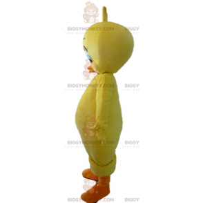 Slavný kostým maskota Looney Tunes Yellow Canary Tweety