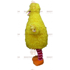 BIGGYMONKEY™ Yellow and Pink Bird Mascot Costume Soft Funny and
