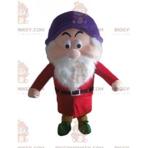 Στολή μασκότ της Χιονάτης Grumpy Dwarf Grumpy BIGGYMONKEY™ - Μασκότ διάσημων χαρακτήρων - BIGGYMONKEY_03463 - BiggyMonkey.com