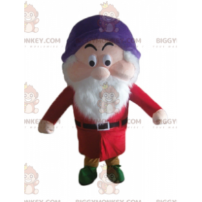 Kostým BIGGYMONKEY™ slavného trpaslíka a nevrlého maskota - Maskoti slavní lidé - BIGGYMONKEY_03463 - BiggyMonkey.com