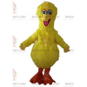 Costume della mascotte del famoso uccello giallo di Sesame