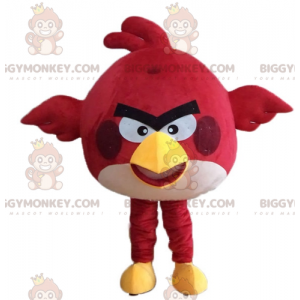 Kostým maskota červeného ptáka BIGGYMONKEY™ ze slavné hry Angry