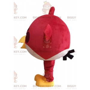 Red bird BIGGYMONKEY™ mascot costume from the famous game Angry
