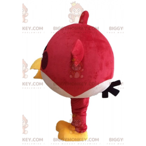 Rode vogel BIGGYMONKEY™ mascottekostuum uit het beroemde spel Angry birds - Mascottes beroemde mensen - BiggyMonkey.com