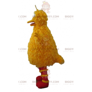 Kostým maskota BIGGYMONKEY™ slavného žlutého ptáka ze sezamové ulice - Maskoti slavní lidé - BIGGYMONKEY_03578 - BiggyMonkey.com