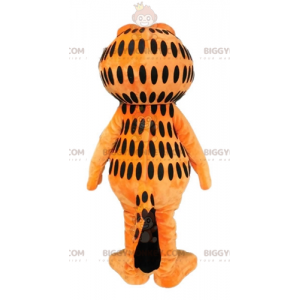 Garfield famoso costume della mascotte del gatto arancione