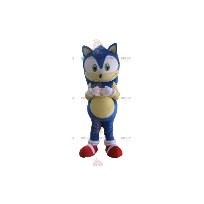 Kuuluisan videopelin Sonicin Blue Hedgehogin maskottiasu Kuuluisan videopelin Sonicin Blue Hedgehogin maskottiasu