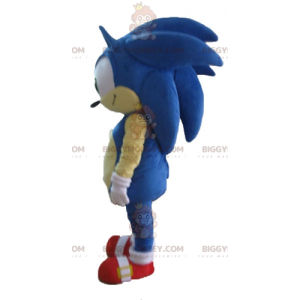 BIGGYMONKEY™ Costume da mascotte di Sonic the Famous Videogioco