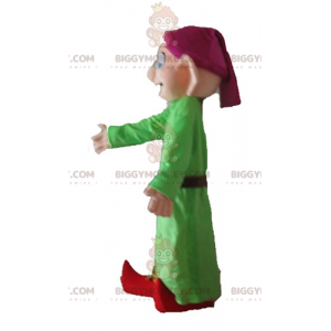 Costume da mascotte di Biancaneve Famoso Dwarf Dopey