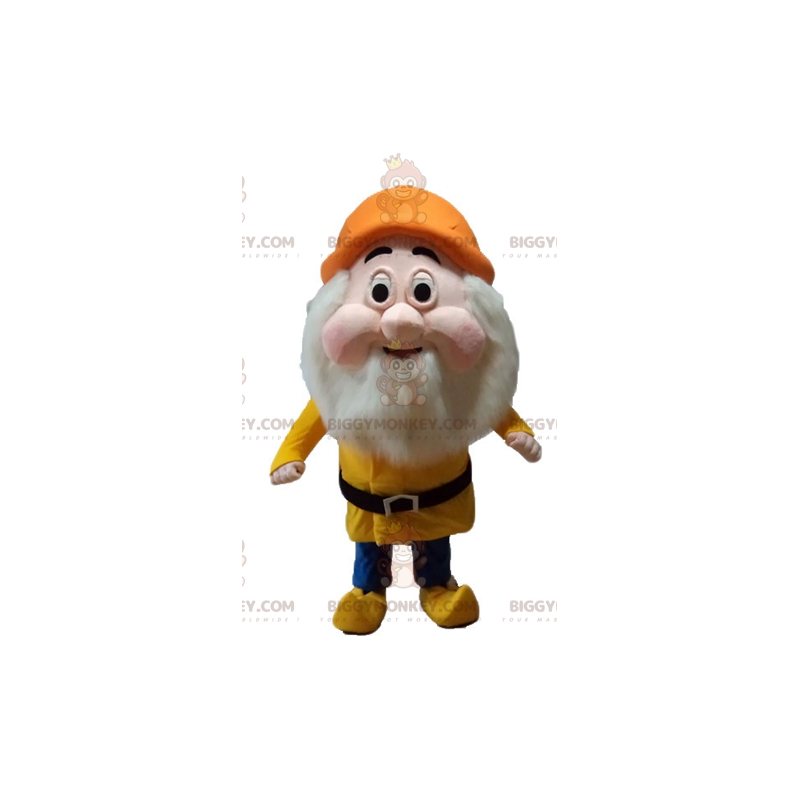 BIGGYMONKEY™ Costume da mascotte da nano barbuto dal cartone BIGGYMONKEY™ Costume da mascotte da nano barbuto dal cartone