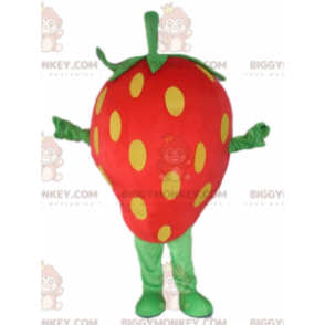 Gigantische rode, gele en groene aardbei BIGGYMONKEY™