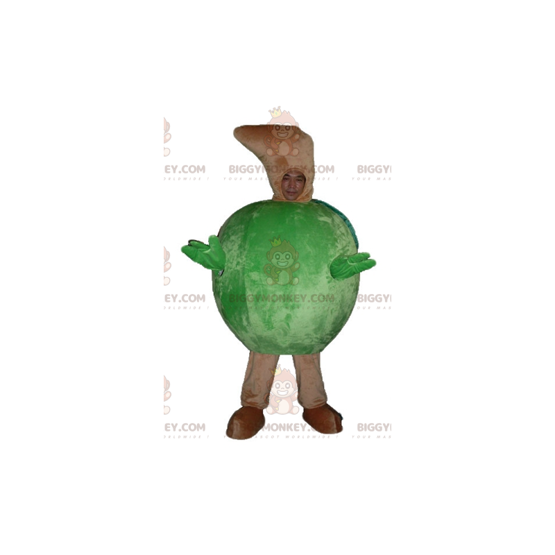 All Round Giant Green Apple BIGGYMONKEY™ maskottiasu - Hedelmän maskotti - BIGGYMONKEY_03782 - BiggyMonkey.com