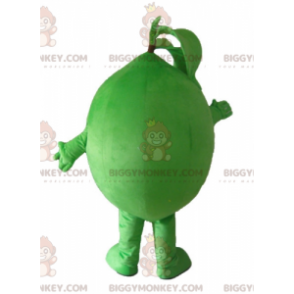 Velmi vtipný a usměvavý kostým maskota Lime BIGGYMONKEY™ –