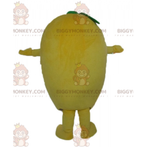 Giant Funny Lemon BIGGYMONKEY™ Mascot Costume – Biggymonkey.com