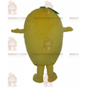 Kostým maskota Giant Funny Lemon BIGGYMONKEY™ - Ovocný maskot - BIGGYMONKEY_03807 - BiggyMonkey.com