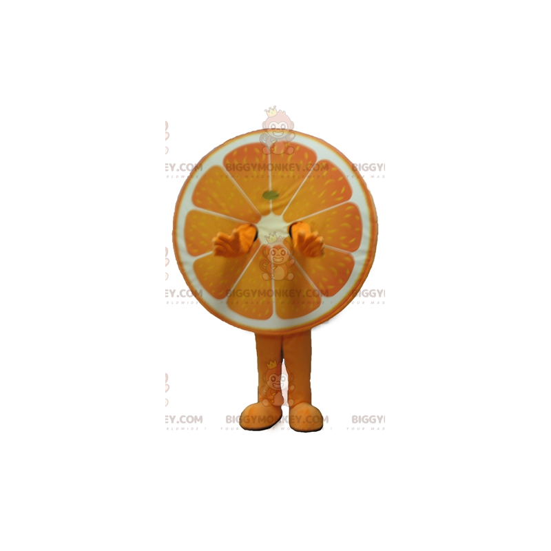 Costume de mascotte BIGGYMONKEY™ d'orange géante d'agrume - Costume de mascotte BIGGYMONKEY™ d'orange géante d'agrume -