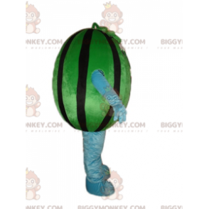 Giant Green and Black Watermelon BIGGYMONKEY™ Mascot Costume -