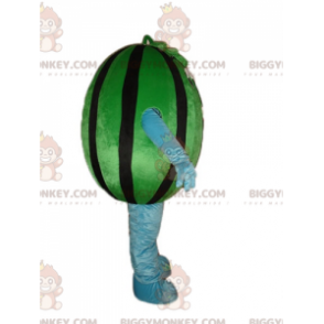 Giant Green and Black Watermelon BIGGYMONKEY™ maskottiasu -